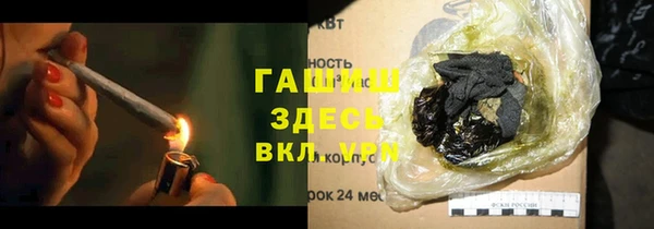гидра Богданович