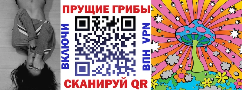 Купить закладки  Пустошка  Псилоцибиновые грибы мицелий 